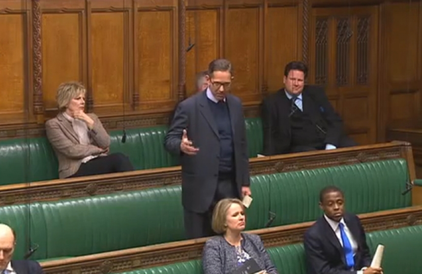 Jonathan Djanogly speaking in the House of Commons